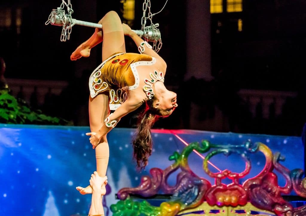 Aller au cirque pour vivre des émotions fortes