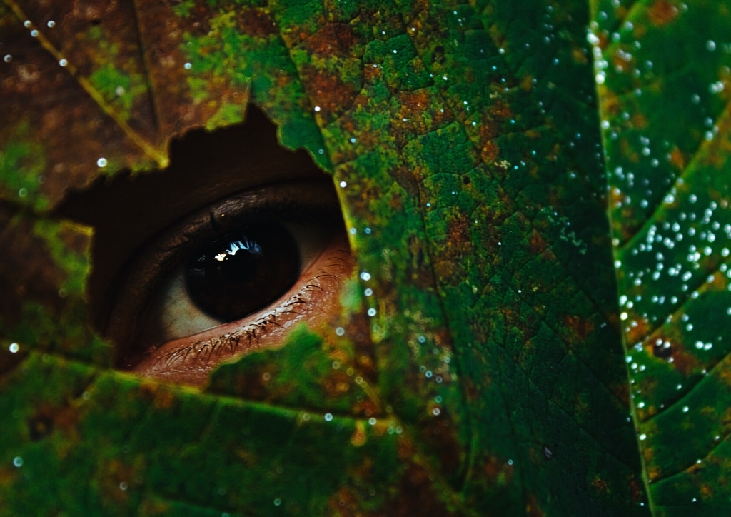 Jouer à cache-cache est un jeu de plein air très apprécié des enfants