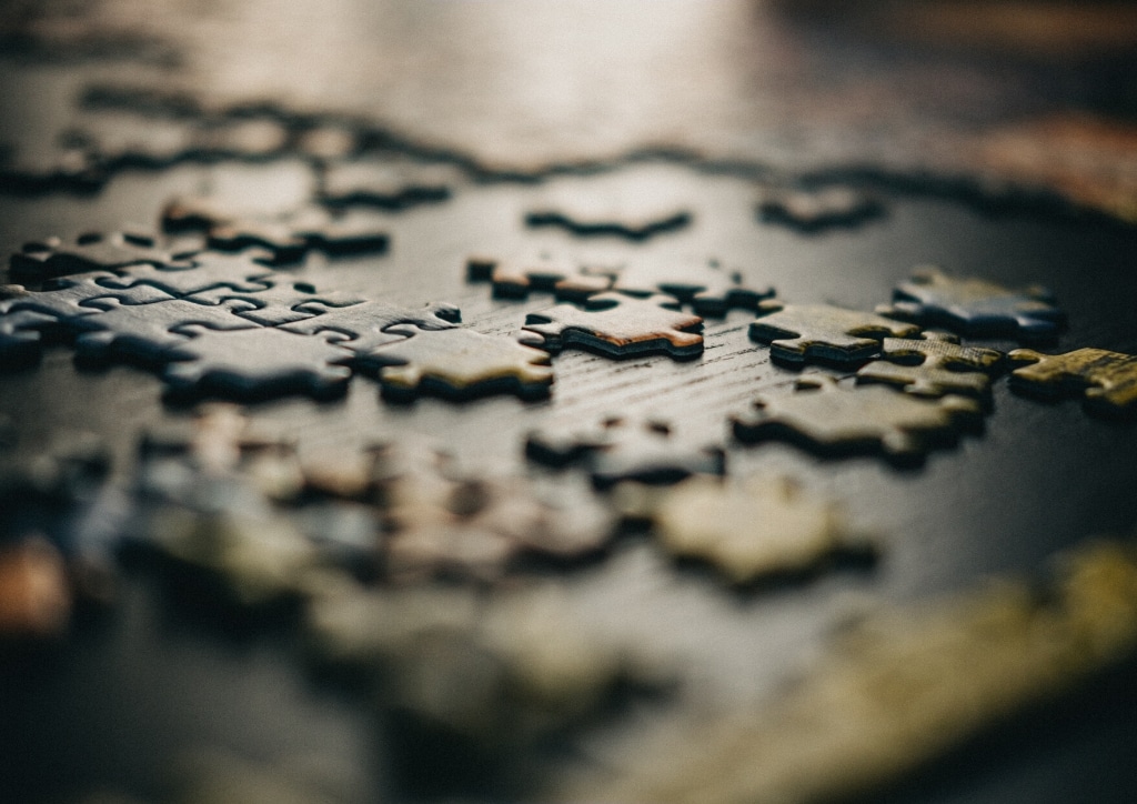 Les puzzles de pour 4 ans de 48 pièces nécessitent une démarche structurée