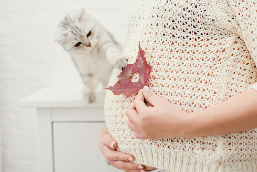 Chat jouant avec une feuille sur le ventre d'une femme enceinte