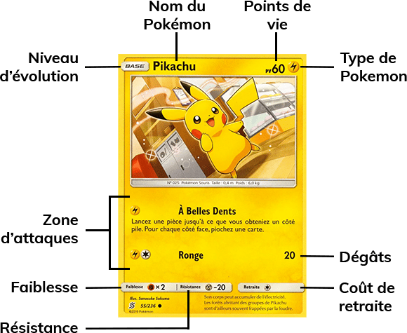 Revue d'une carte Pokemon