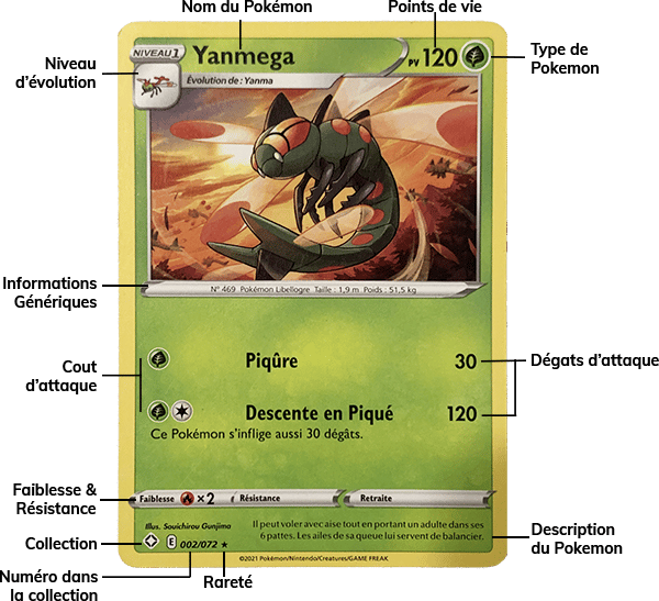 Analyse d'une carte de Pokemon