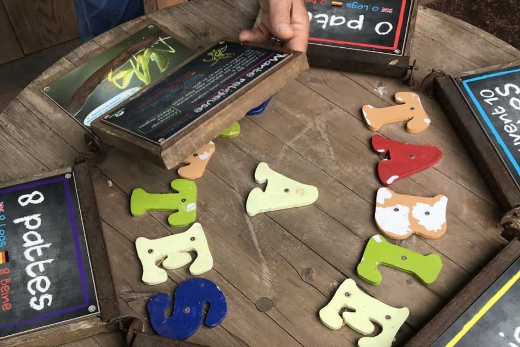 Visiter un zoo apporte une foule de connaissance à travers des supports ludiques comme cette table à pattes