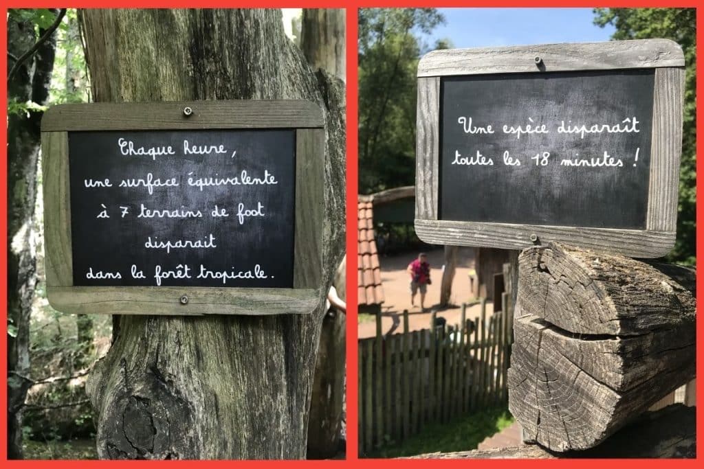 Visiter un zoo permet d'être sensibilisé aux menaces qui pèsent sur la planète