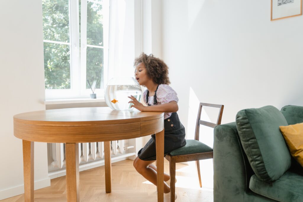 Le poisson rouge reste l'animal de compagnie le plus facile d'entretien pour un enfant.