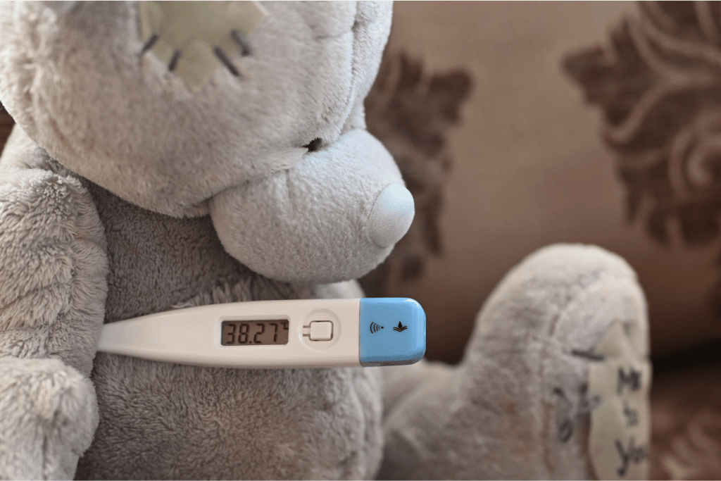 Thermomètre électronique