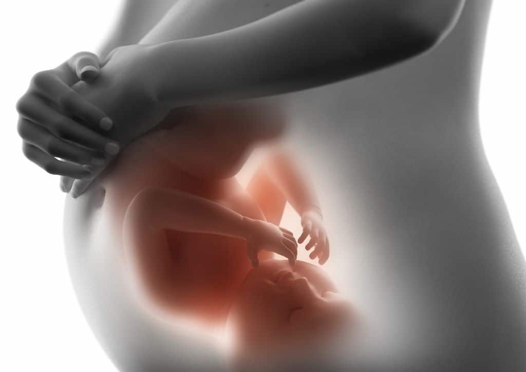 Foetus à l'intérieur du ventre maternel