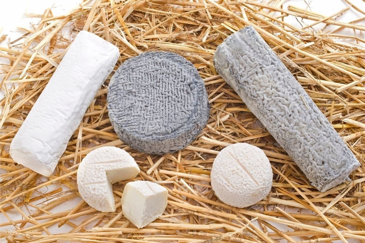 Plateau de différentes variétés de chèvre